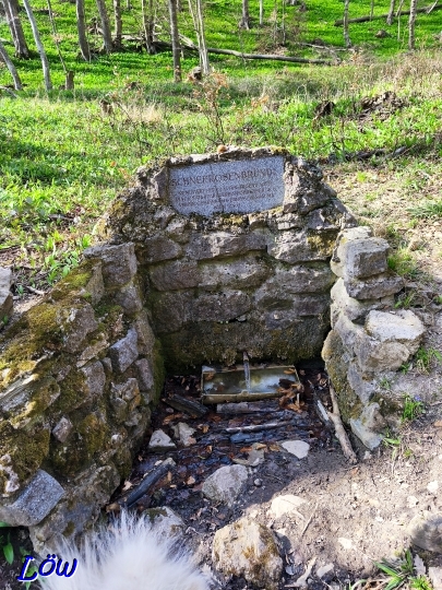 11.4.2025 - Schneerosenbründl